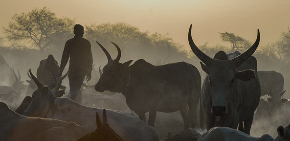 External Publication Card